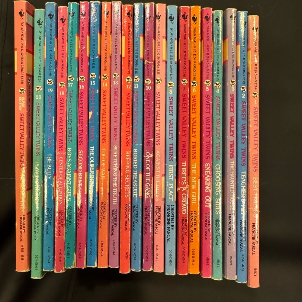 Sweet Valley Twins Book Set